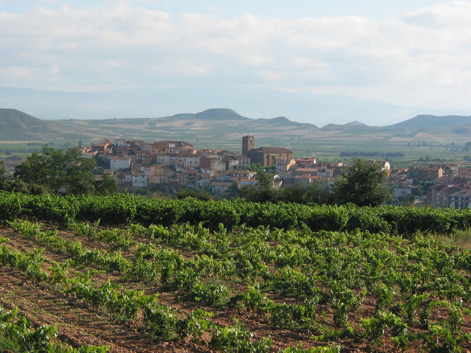Rioja: viinitarhoja, Ebro-joen laakso